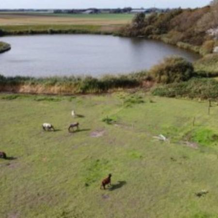 סנט מארטן B&B Hoeve Dijkstal Logeren Op De Boerderij מראה חיצוני תמונה