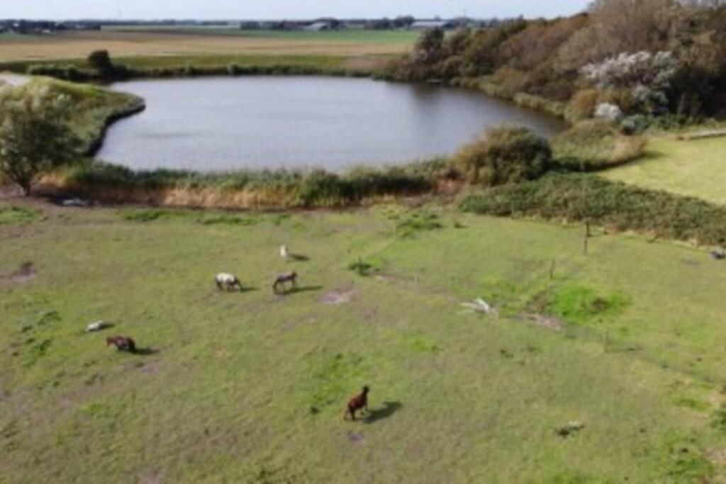 סנט מארטן B&B Hoeve Dijkstal Logeren Op De Boerderij מראה חיצוני תמונה